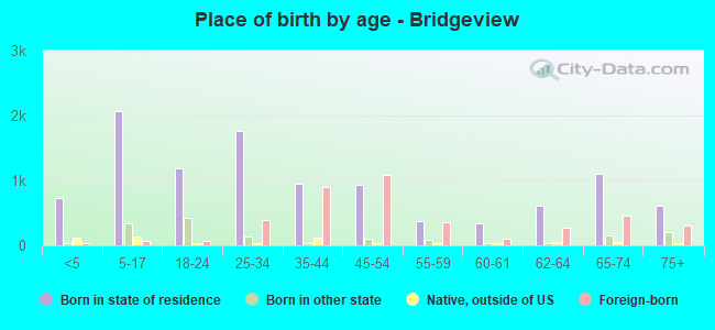 Place of birth by age -  Bridgeview