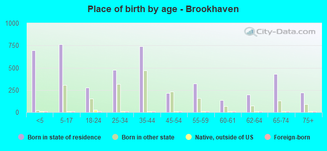 Place of birth by age -  Brookhaven