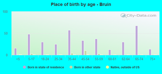 Place of birth by age -  Bruin