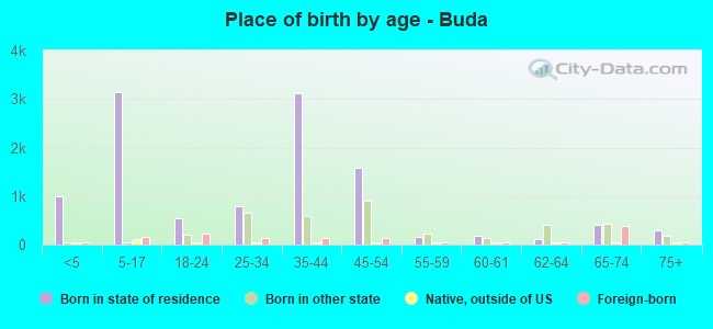 Place of birth by age -  Buda