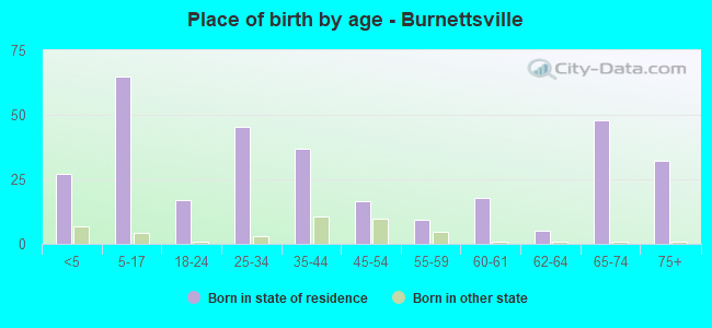 Place of birth by age -  Burnettsville
