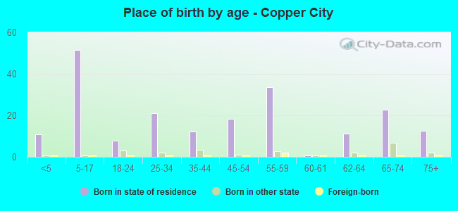 Place of birth by age -  Copper City