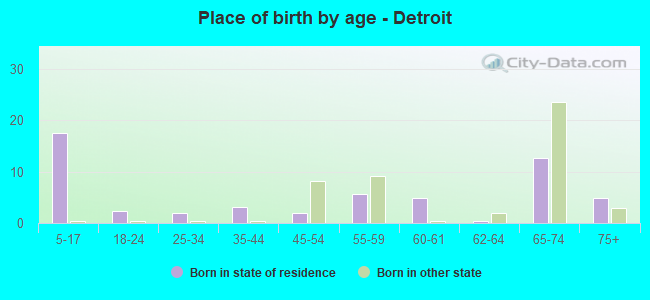 Place of birth by age -  Detroit