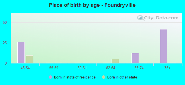 Place of birth by age -  Foundryville