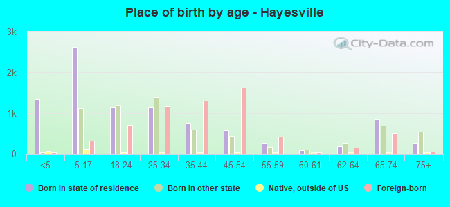 Place of birth by age -  Hayesville
