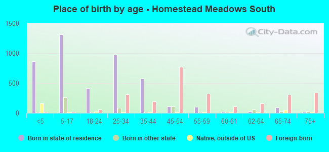 Place of birth by age -  Homestead Meadows South