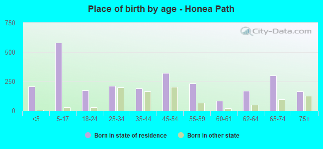 Place of birth by age -  Honea Path
