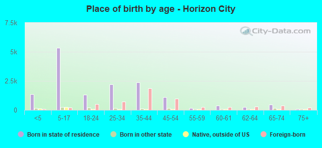Place of birth by age -  Horizon City