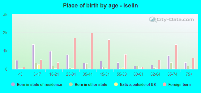 Place of birth by age -  Iselin