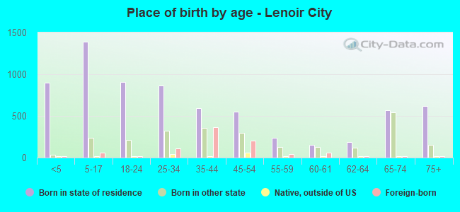 Place of birth by age -  Lenoir City