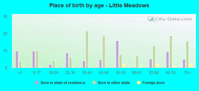 Place of birth by age -  Little Meadows