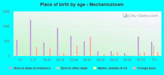 Place of birth by age -  Mechanicstown