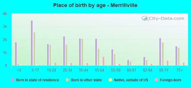 Place of birth by age -  Merrillville