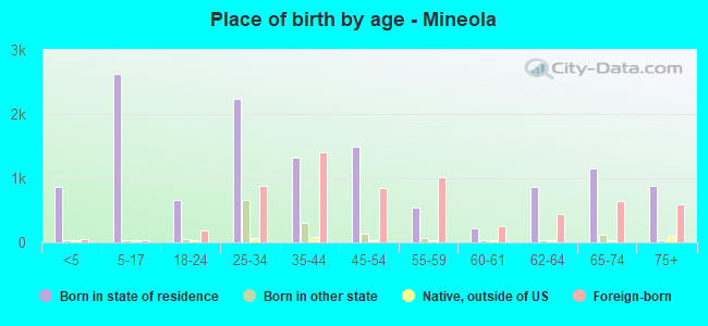 Place of birth by age -  Mineola