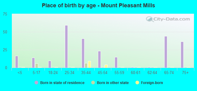 Place of birth by age -  Mount Pleasant Mills