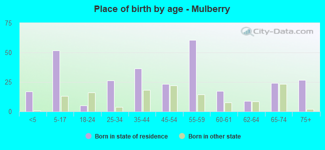 Place of birth by age -  Mulberry