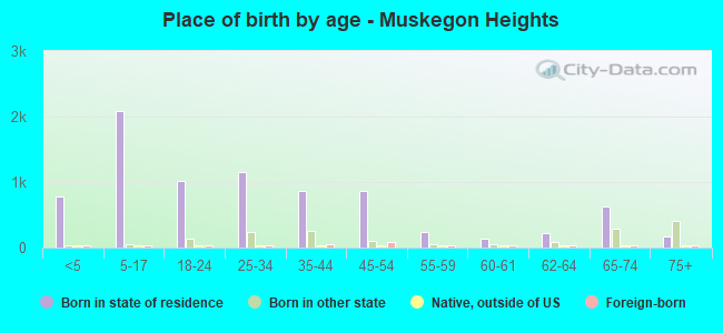Place of birth by age -  Muskegon Heights