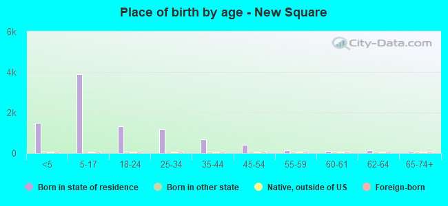 Place of birth by age -  New Square