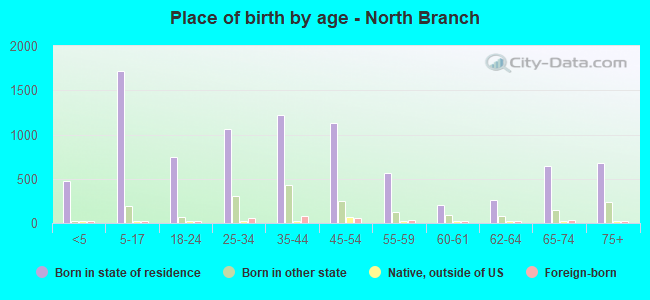 Place of birth by age -  North Branch
