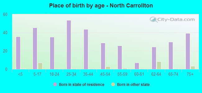 Place of birth by age -  North Carrollton