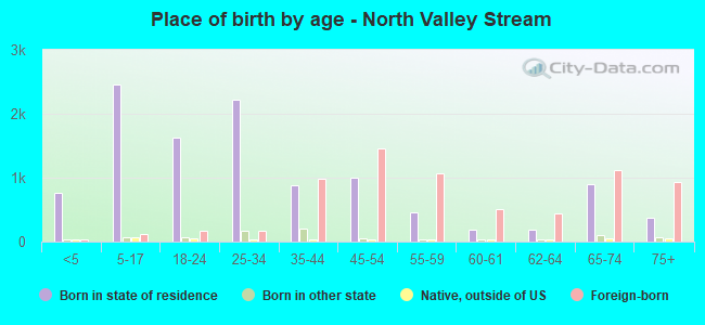 Place of birth by age -  North Valley Stream