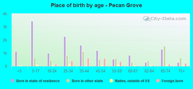 Place of birth by age -  Pecan Grove