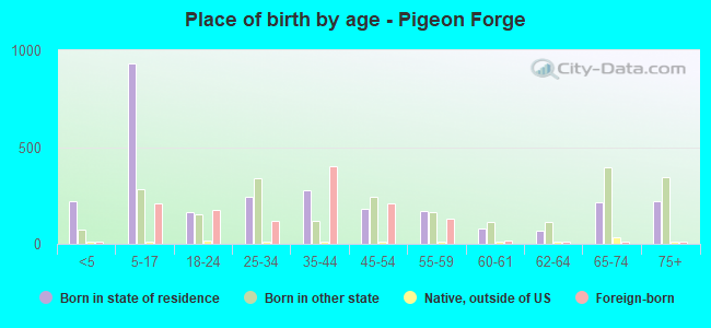 Place of birth by age -  Pigeon Forge