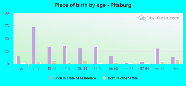Place of birth by age -  Pitsburg