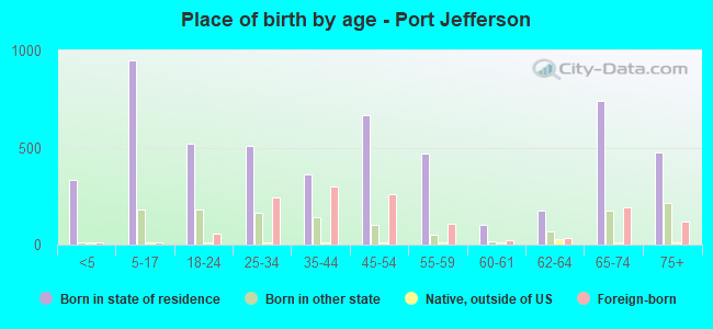 Place of birth by age -  Port Jefferson