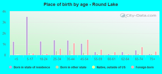 Place of birth by age -  Round Lake