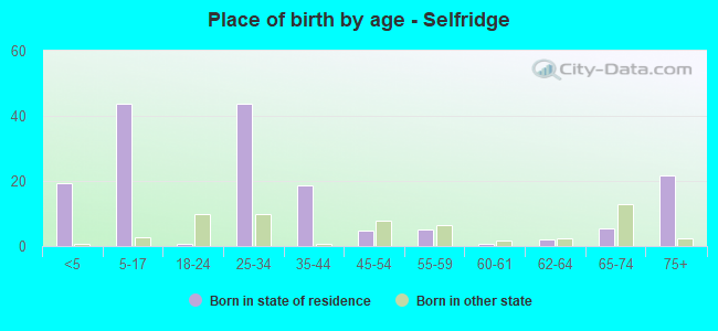 Place of birth by age -  Selfridge