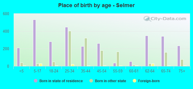 Place of birth by age -  Selmer