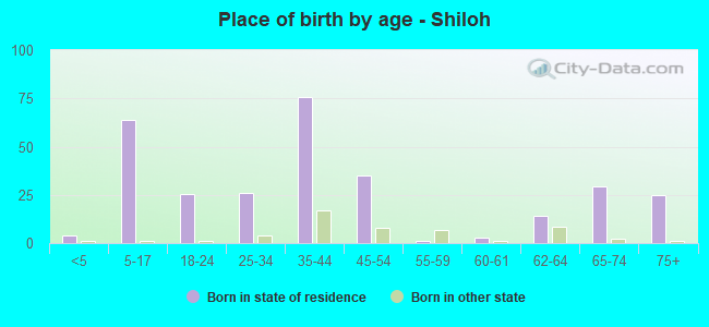 Place of birth by age -  Shiloh