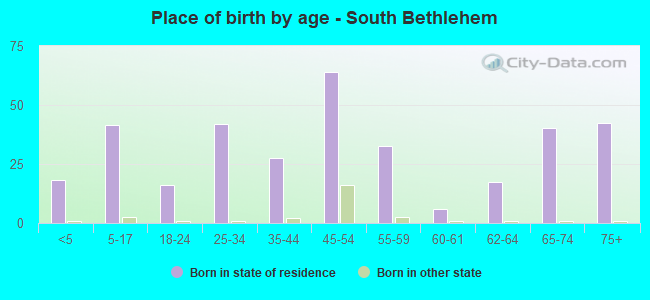 Place of birth by age -  South Bethlehem