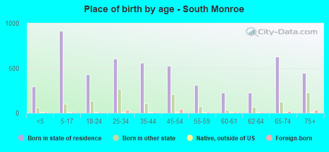 Place of birth by age -  South Monroe