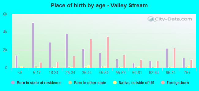 Place of birth by age -  Valley Stream