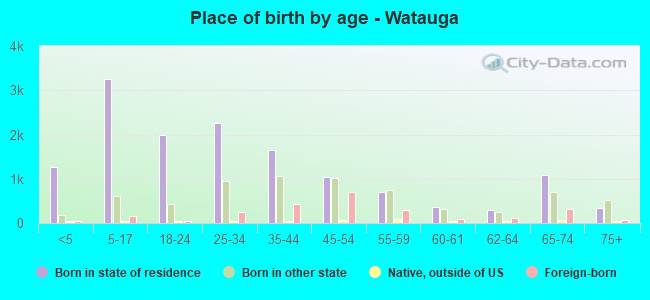 Place of birth by age -  Watauga