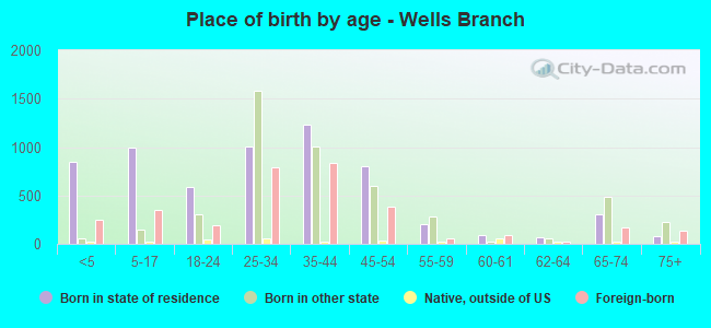 Place of birth by age -  Wells Branch