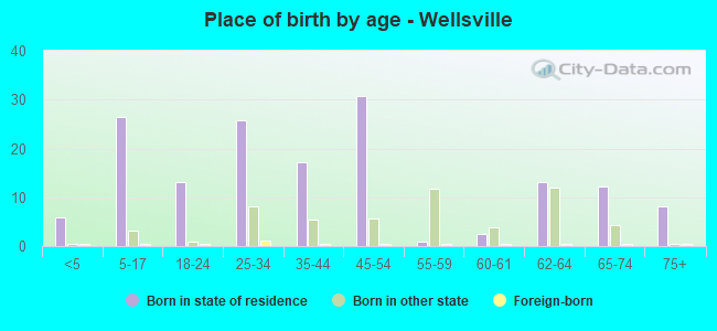 Place of birth by age -  Wellsville