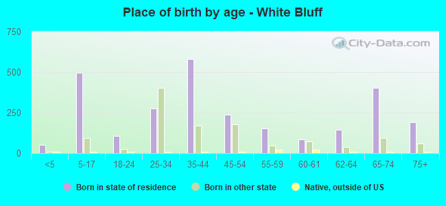 Place of birth by age -  White Bluff