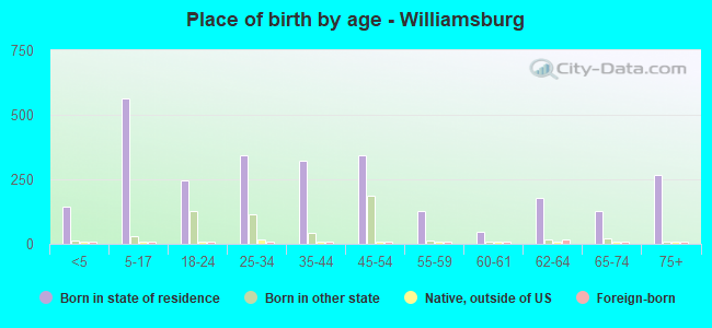 Place of birth by age -  Williamsburg