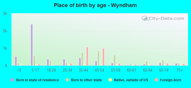 Place of birth by age -  Wyndham