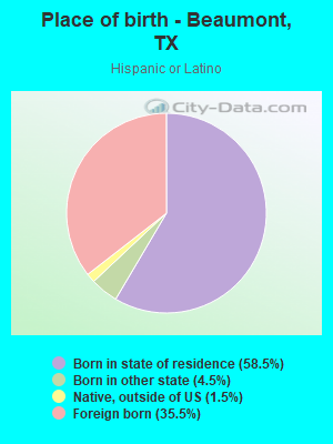 Races in Beaumont Texas TX White Black Hispanic Asian