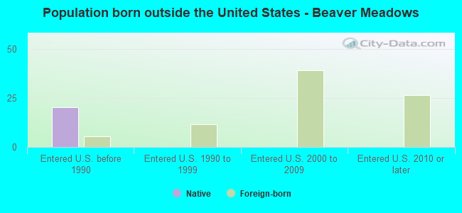 Population born outside the United States - Beaver Meadows
