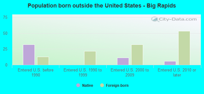 Population born outside the United States - Big Rapids