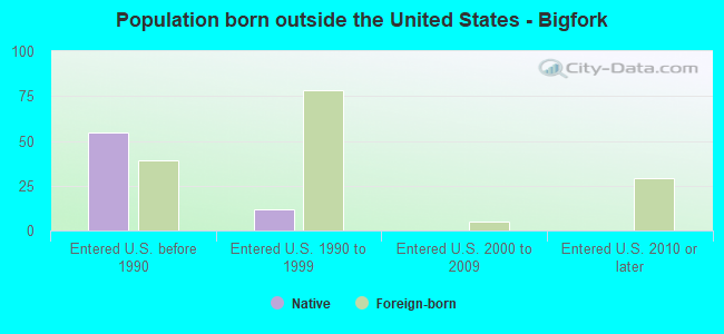 Population born outside the United States - Bigfork