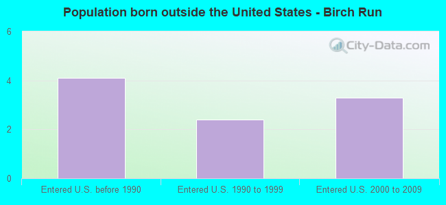 Population born outside the United States - Birch Run