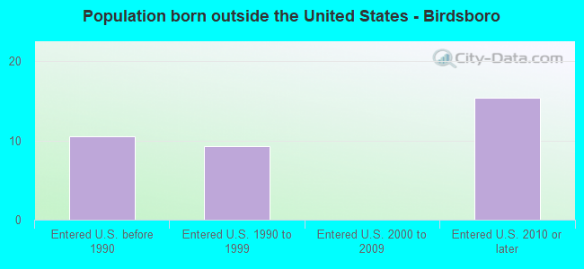 Population born outside the United States - Birdsboro