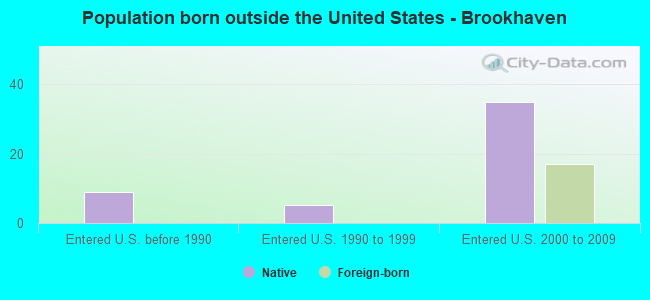 Population born outside the United States - Brookhaven