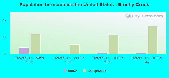 Population born outside the United States - Brushy Creek